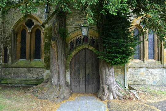 Tour image 5